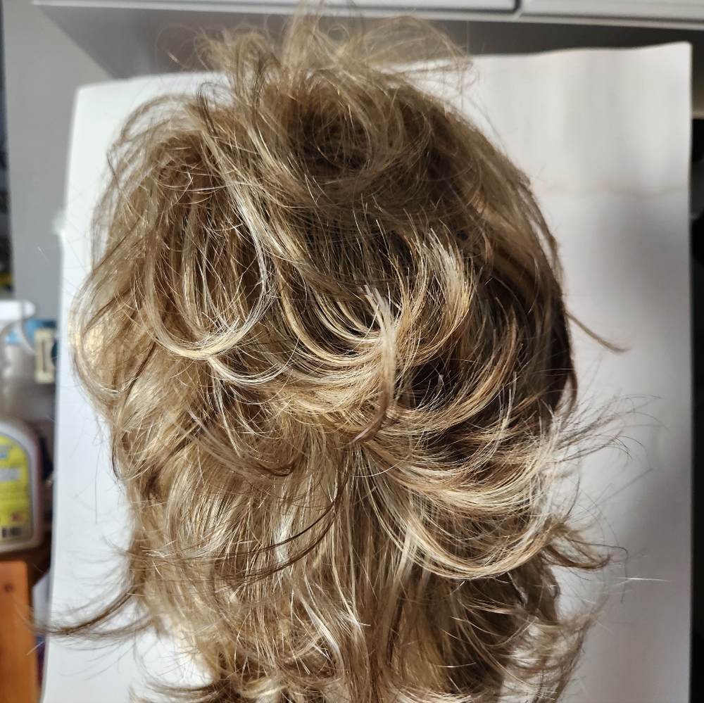Estetica Angela Wig R12 26CH New in Box GOLDEN SHAG - Picture 6 of 9